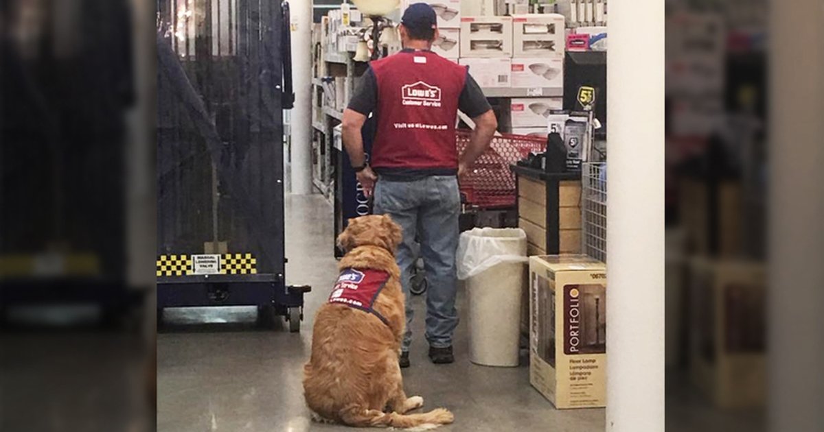 Veteran With Service Dog Struggled To Find A Job — Until This Store
