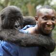 Victory for Virunga? British oil company ends oil operations