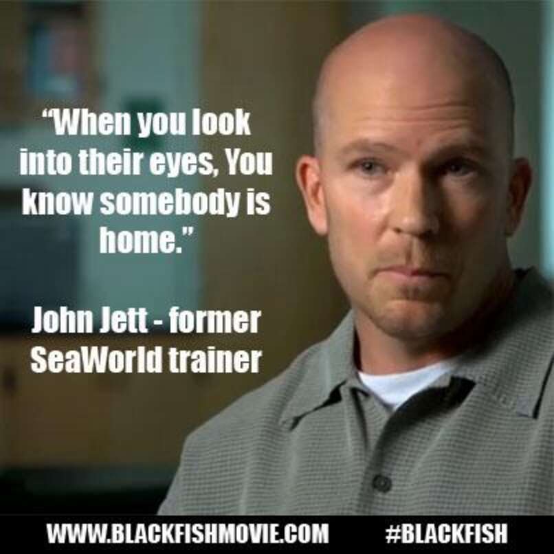 Fomer SeaWorld trainer John Jett on killer whales in #Blackfish http ...