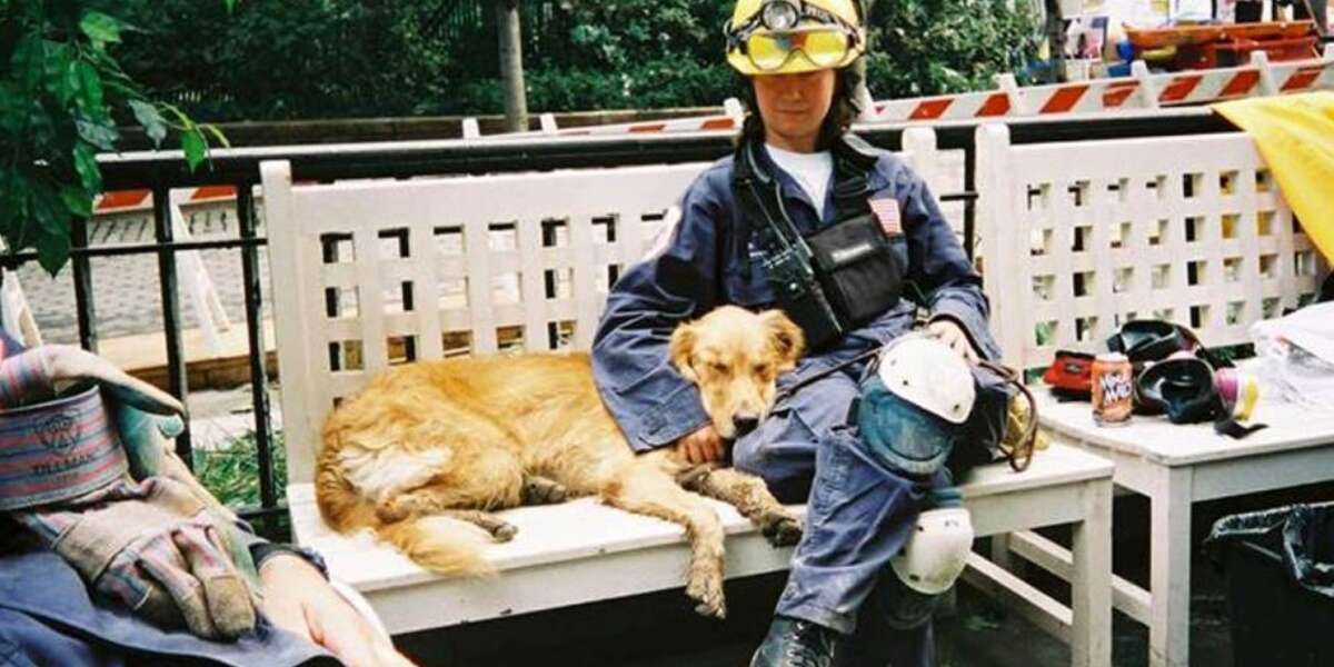 The Fascinating Science Behind Rescue Dogs And Other Animal Heroes ...