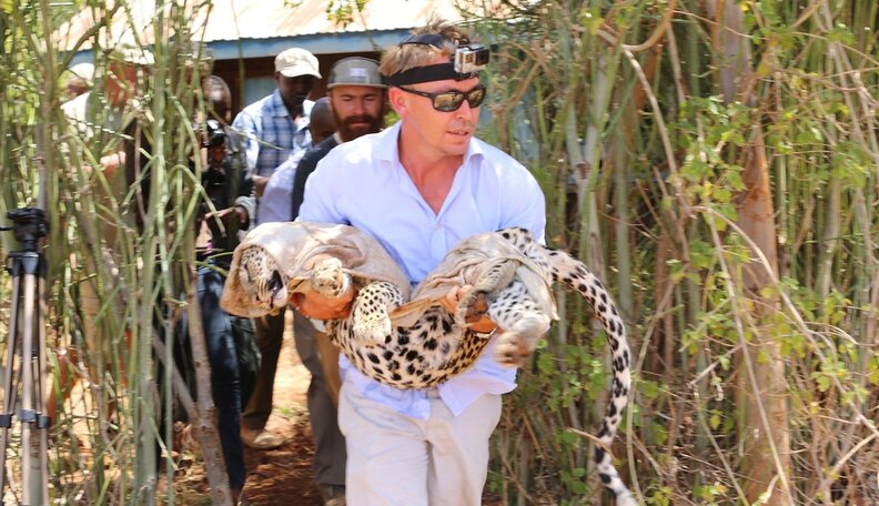 Leopard Trapped In Garden Was Terrified. And Then People Showed Up ...