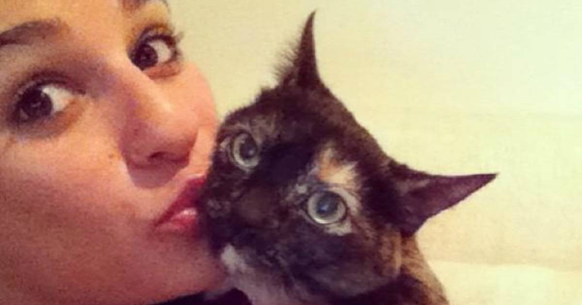 Lea Michele Is Having A Beautiful Love Affair With Her Cat The Dodo