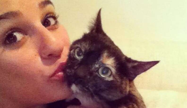 Lea Michele Is Having A Beautiful Love Affair With Her Cat The Dodo