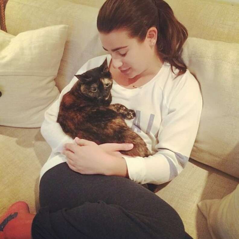 Lea Michele Is Having A Beautiful Love Affair With Her Cat The Dodo