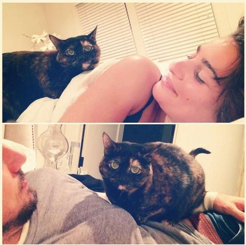 Lea Michele Is Having A Beautiful Love Affair With Her Cat The Dodo