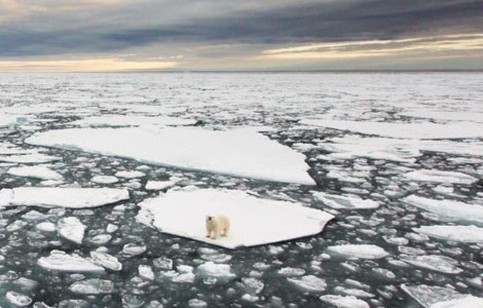 DON'T LET SHELL DRILL IN THE ARCTIC OCEAN! - The Dodo