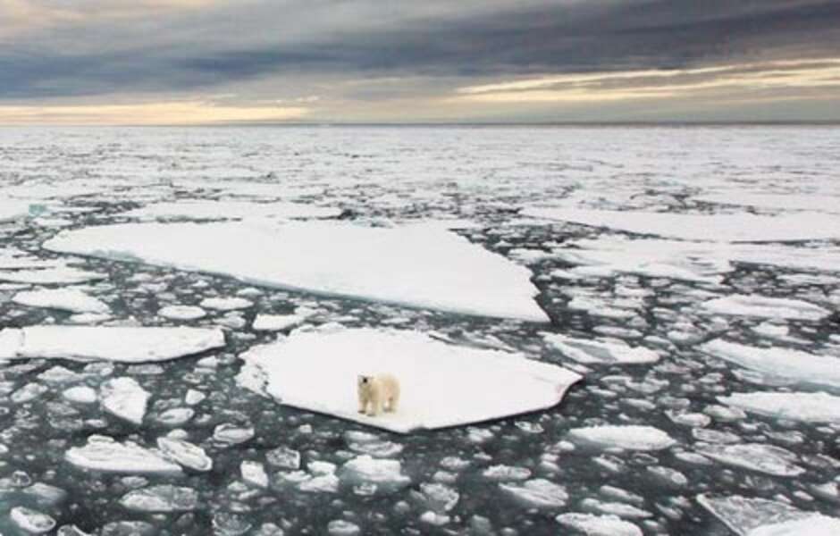 Arctic Shells DON'T LET SHELL DRILL IN THE ARCTIC OCEAN! - The Dodo