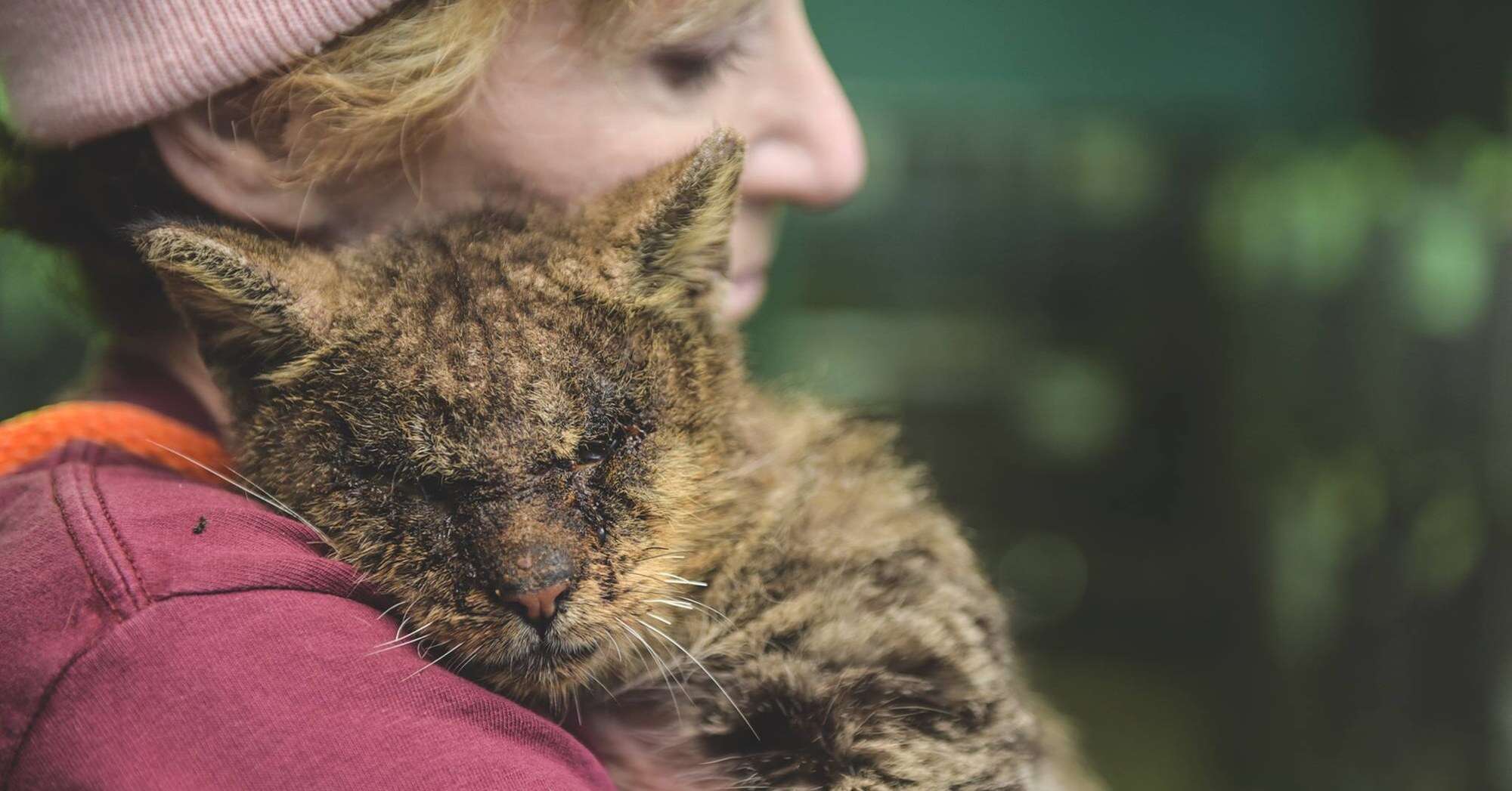 Woman hugs cat with mange