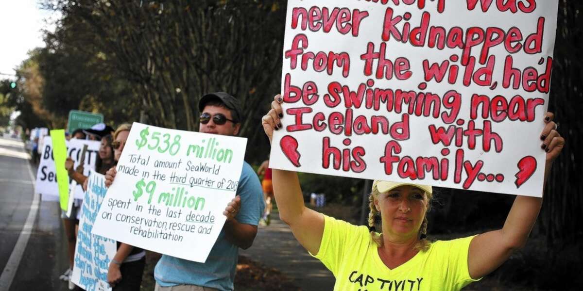 Brand New SeaWorld Exhibit: Protesters - The Dodo