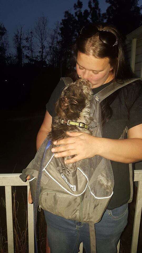 Abandoned dog with his rescuer