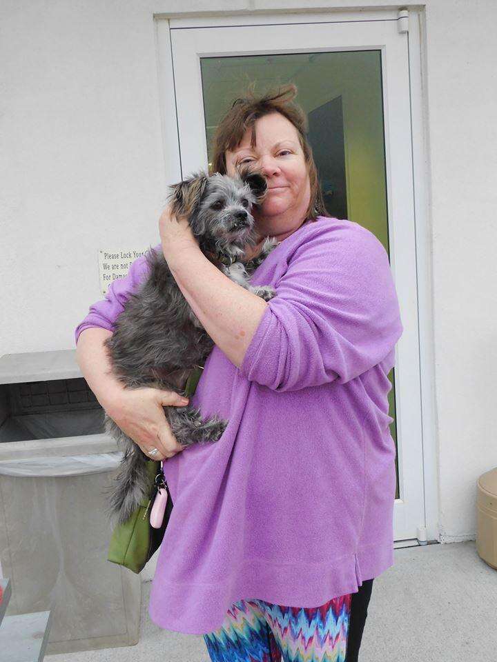Dog reunited with his owner's mother