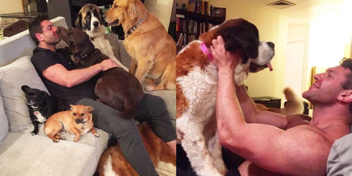 Guy Keeps Adopting Rescue Dogs And Cats - The Dodo