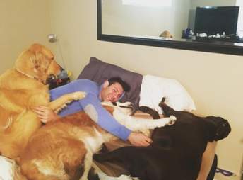 hot guy can't stop adopting rescue dogs