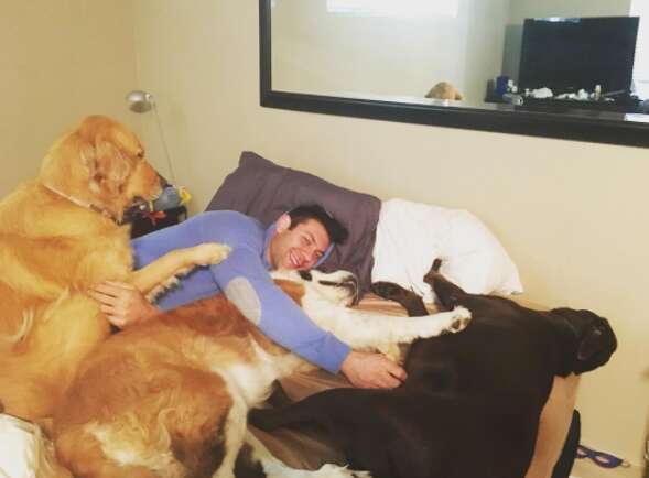 hot guy can't stop adopting rescue dogs