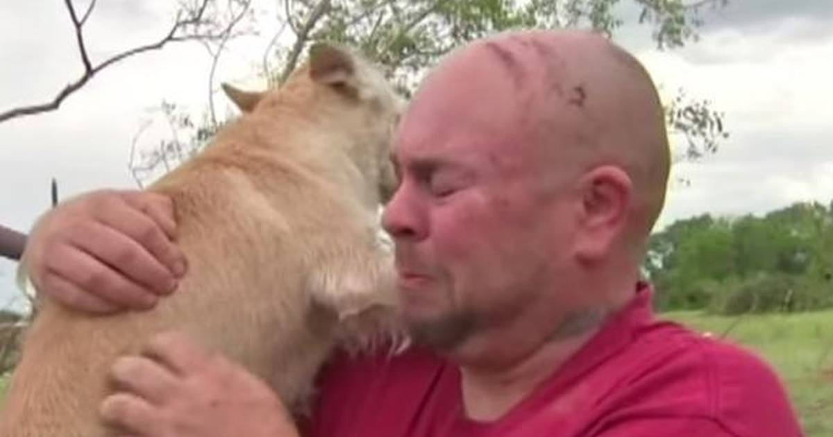 I just broke down': Family reunited with dog 54 days after deadly Tennessee  tornado