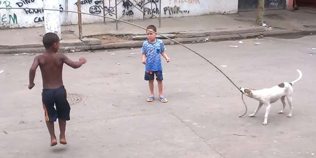 Dog With Jump Rope Knows The Perfect Way To Make New Friends The Dodo