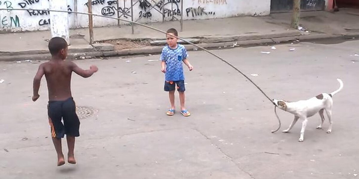 Jump Roping Dog Dog With Jump Rope Knows The Perfect Way To Make New Friends - The Dodo