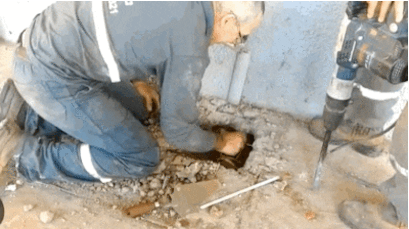 They Heard Crying Underground And Refused To Ignore It - The Dodo