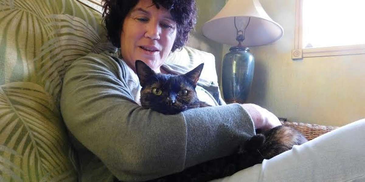 Lost Cat Reunites With Her Owner After 15 Years - The Dodo