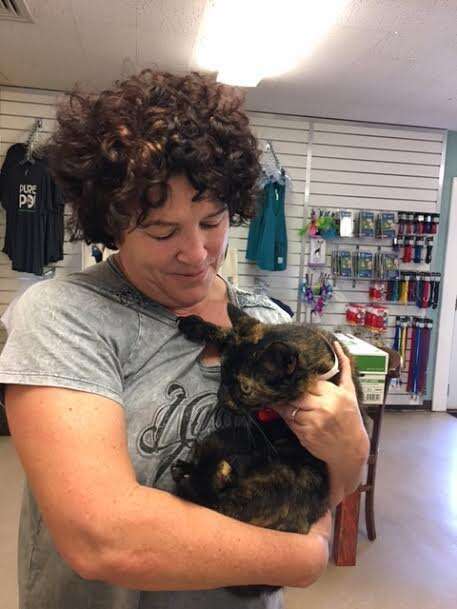 Cat lost for 15 years reunites with her owner at the Maui Humane Society