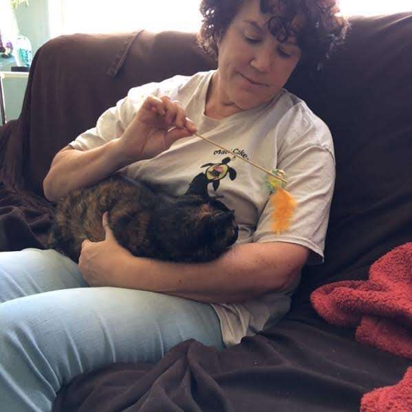 Lost cat reunited with her owner