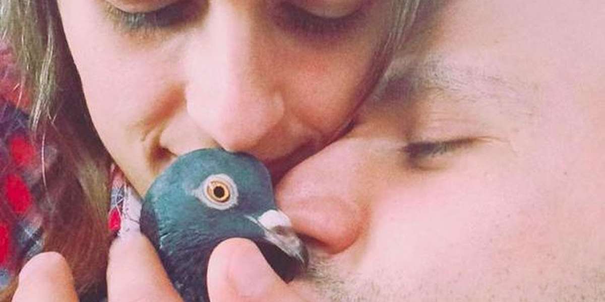 Sick Baby Pigeon Lands On Doorstep — And Finds A Family To Love Him