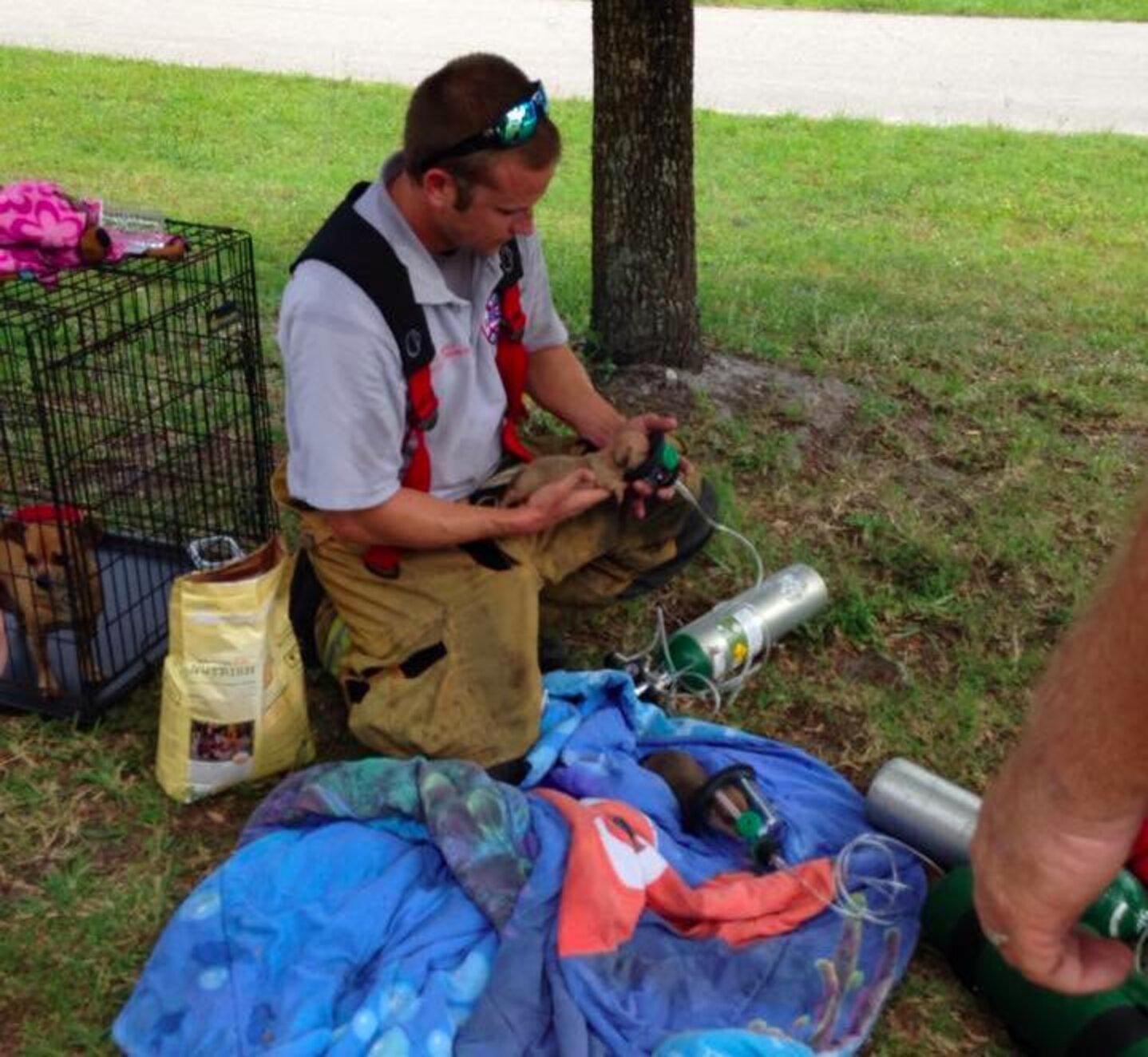 Puppies Saved From Fire With Teeny-Tiny Oxygen Masks - The Dodo