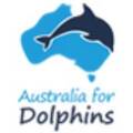 Photo of author Aus4Dolphins