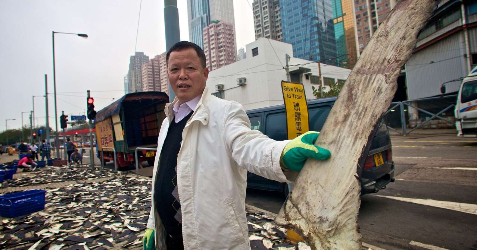 Man Finds Worst Surprise On Roof Of Building - The Dodo