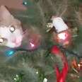 Cats Knocking Over Christmas Trees
