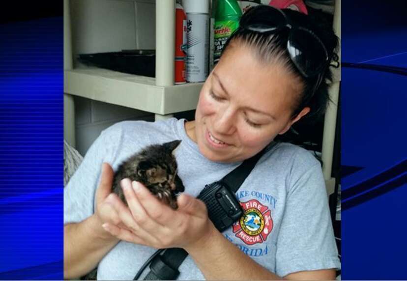 Police Officer Brings His Rescued Kitten To Work Every Day - The Dodo