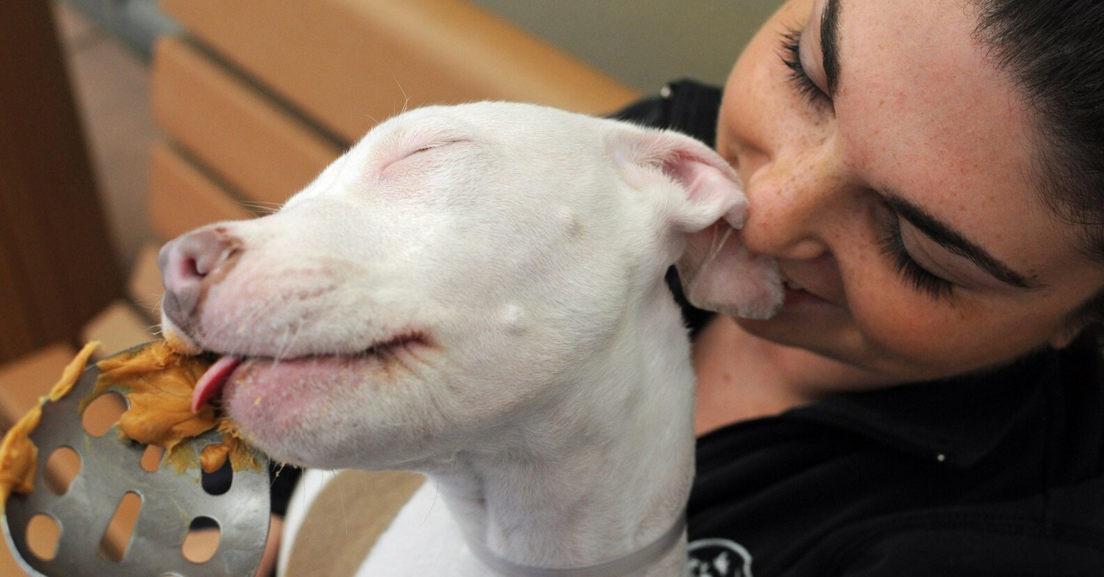 why do dogs love treats so much