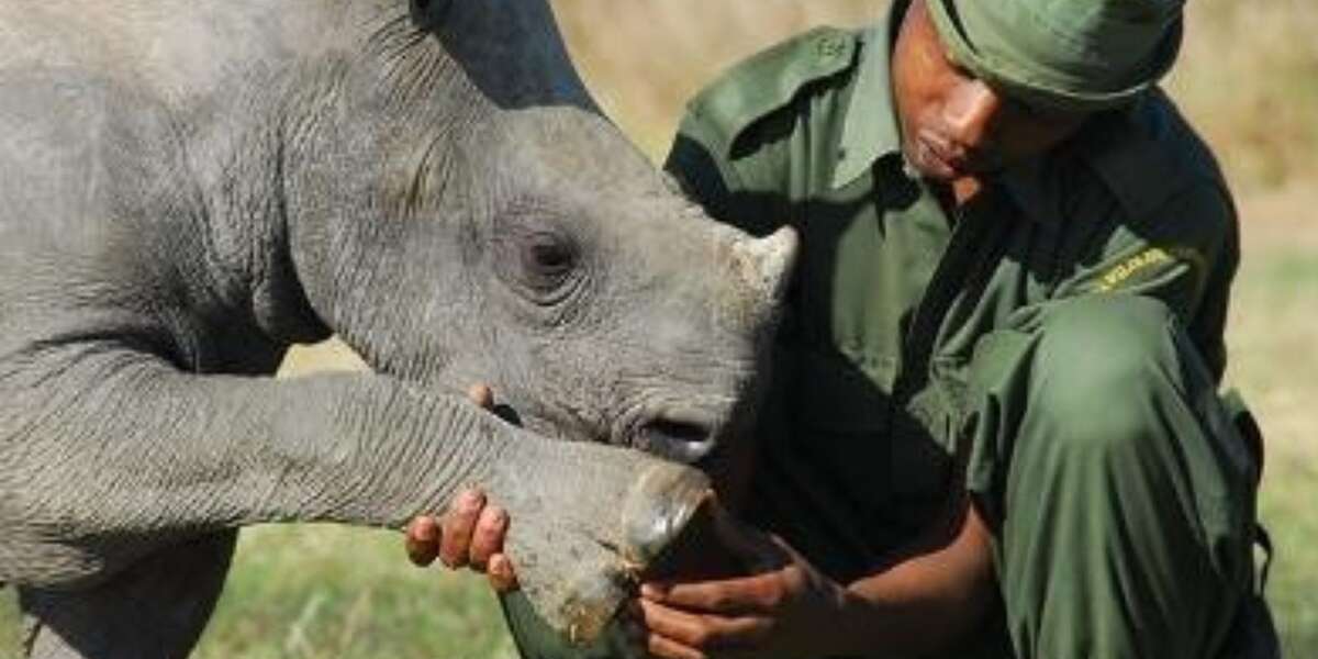 World Ranger Day 2014 - The Dodo