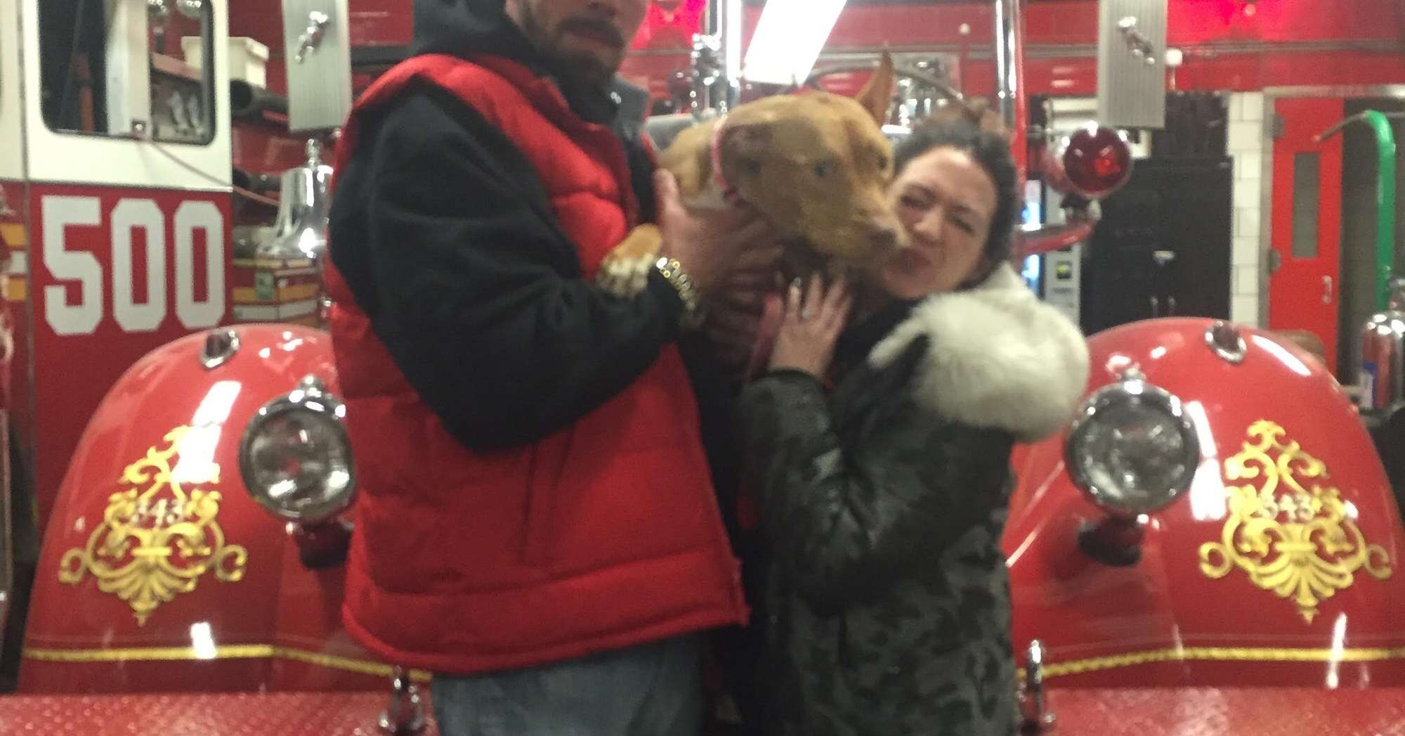 Ashley the pit bull arriving at the fire station