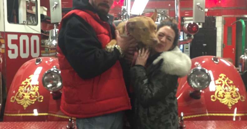 Ashley the pit bull arriving at the fire station