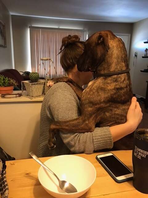 rescue dog hugs his mom every day when she gets home