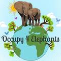 Photo of author Occupy 4 Elephants