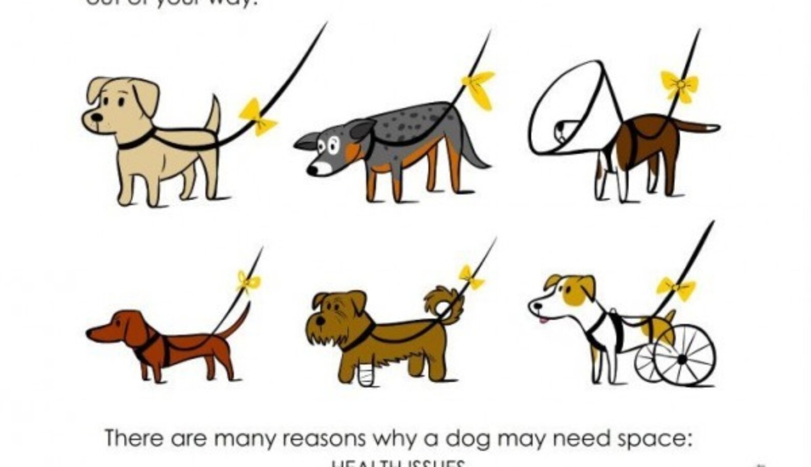 What To Do When You See A Yellow Ribbon On A Dog's Leash The Dodo