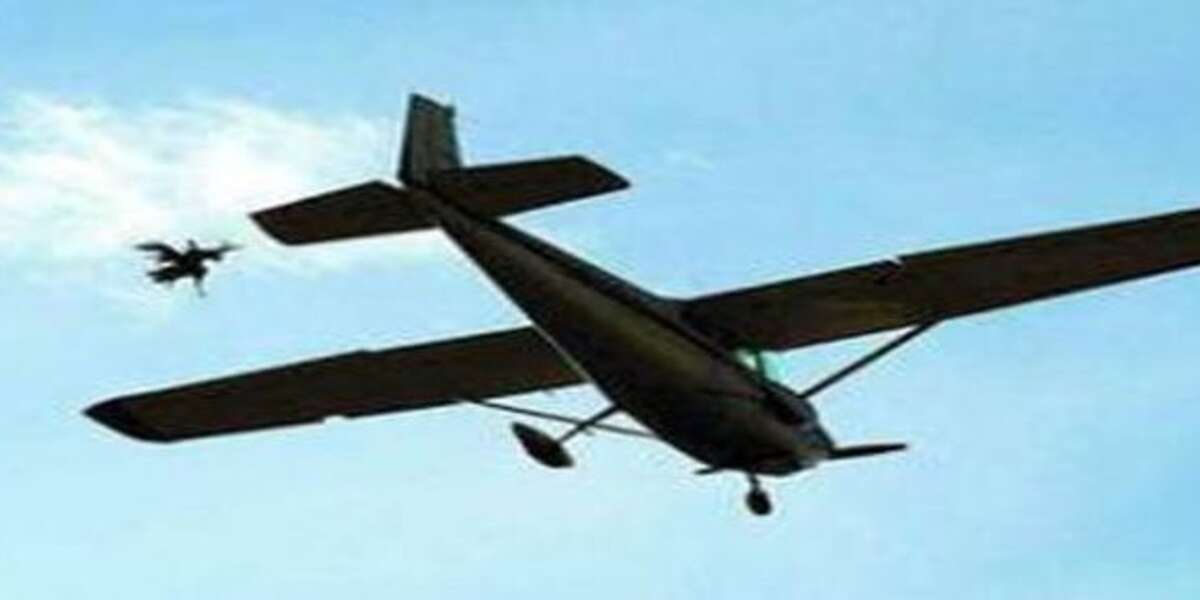 Yellville Turkey Drop "Festival of Death" National Inquirer The Dodo