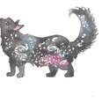 GALAXY CAT