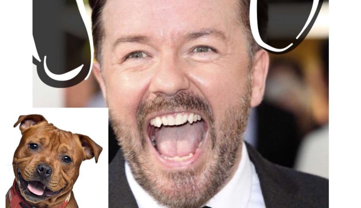 what would you look like as a dog omg