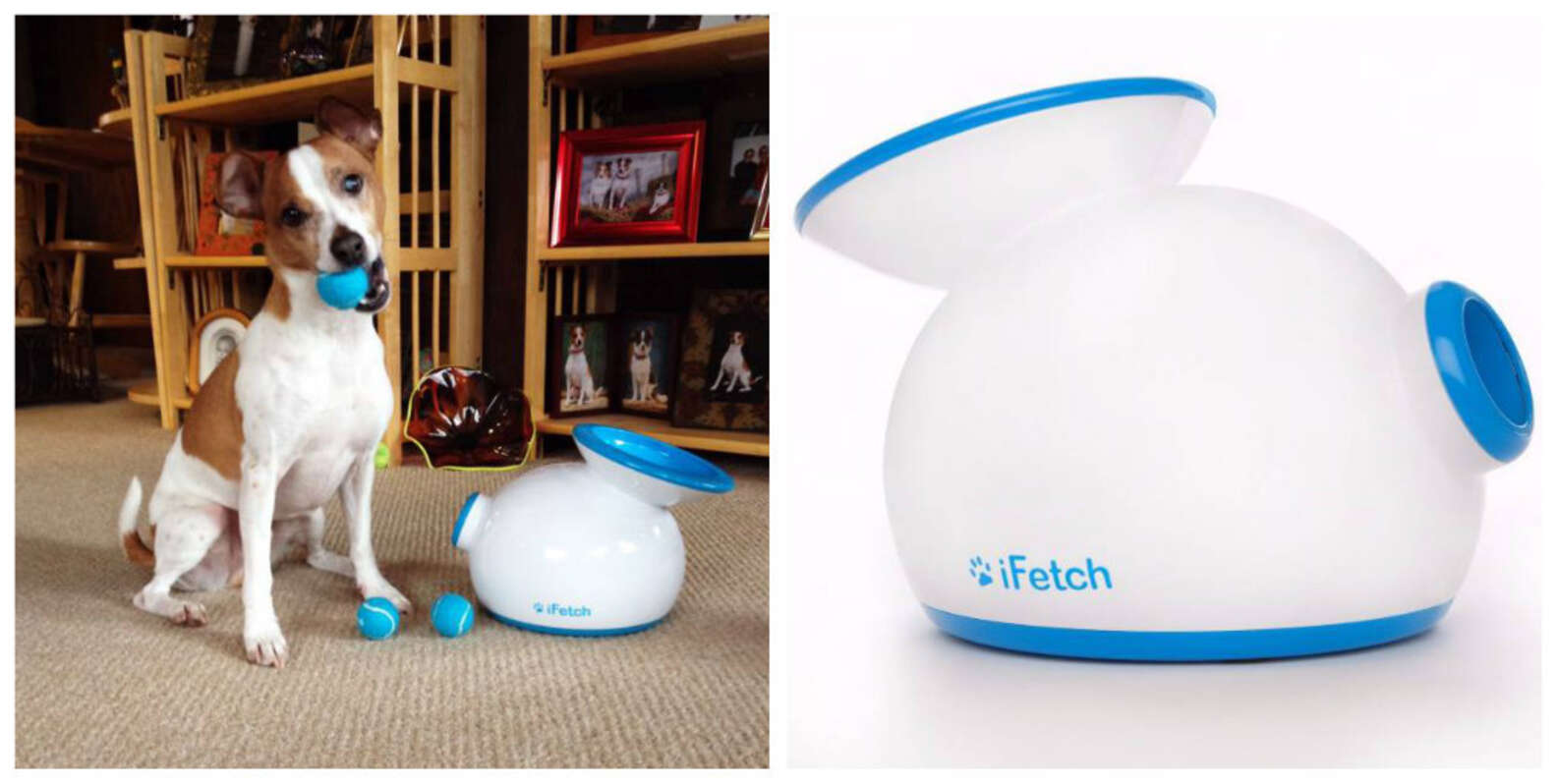 17 Genius Products Every Pet Owner Will Want The Dodo 17-genius-products-every-pet-owner-will-want-the-dodo