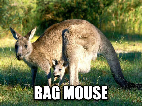 Bag mouse