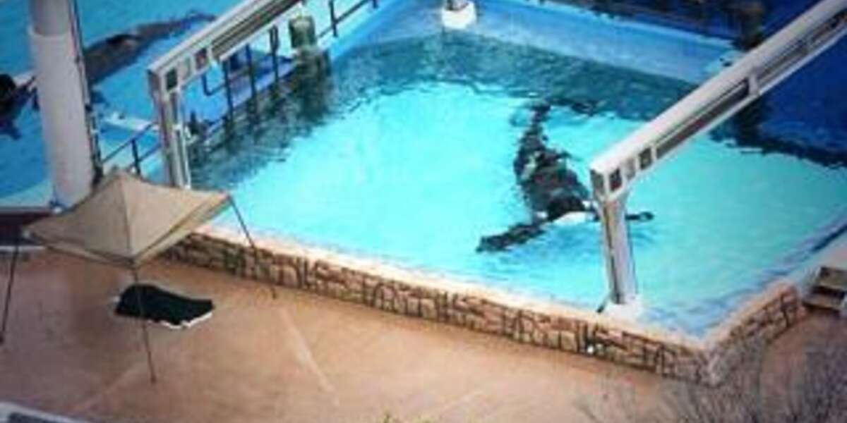 #Tilikum is currently serving LIFE IN PRISON in a tiny cell at ...