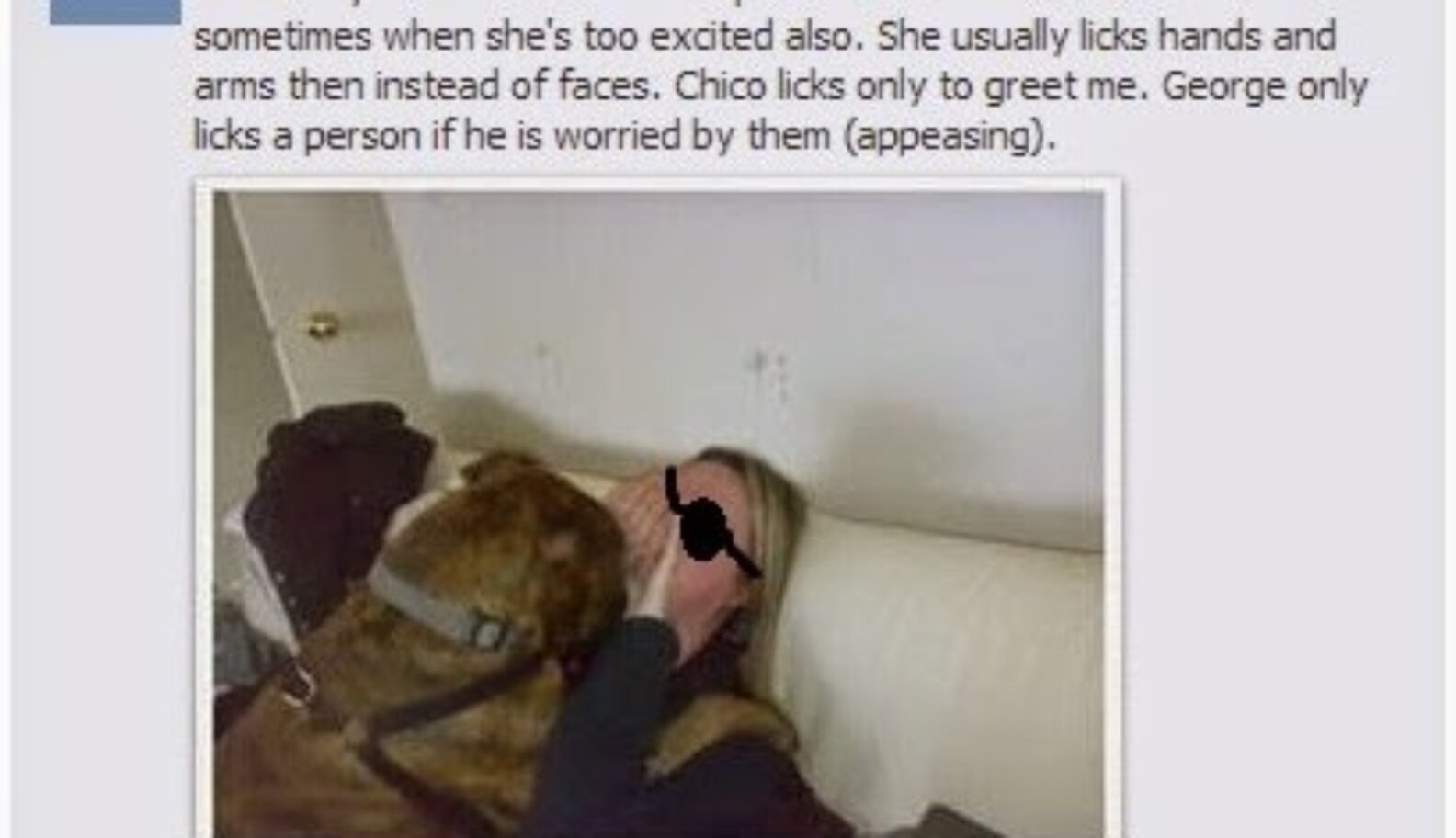 Why do dogs lick people? The Dodo