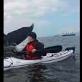 Whale Surprises Kayaker With Insanely Close Encounter