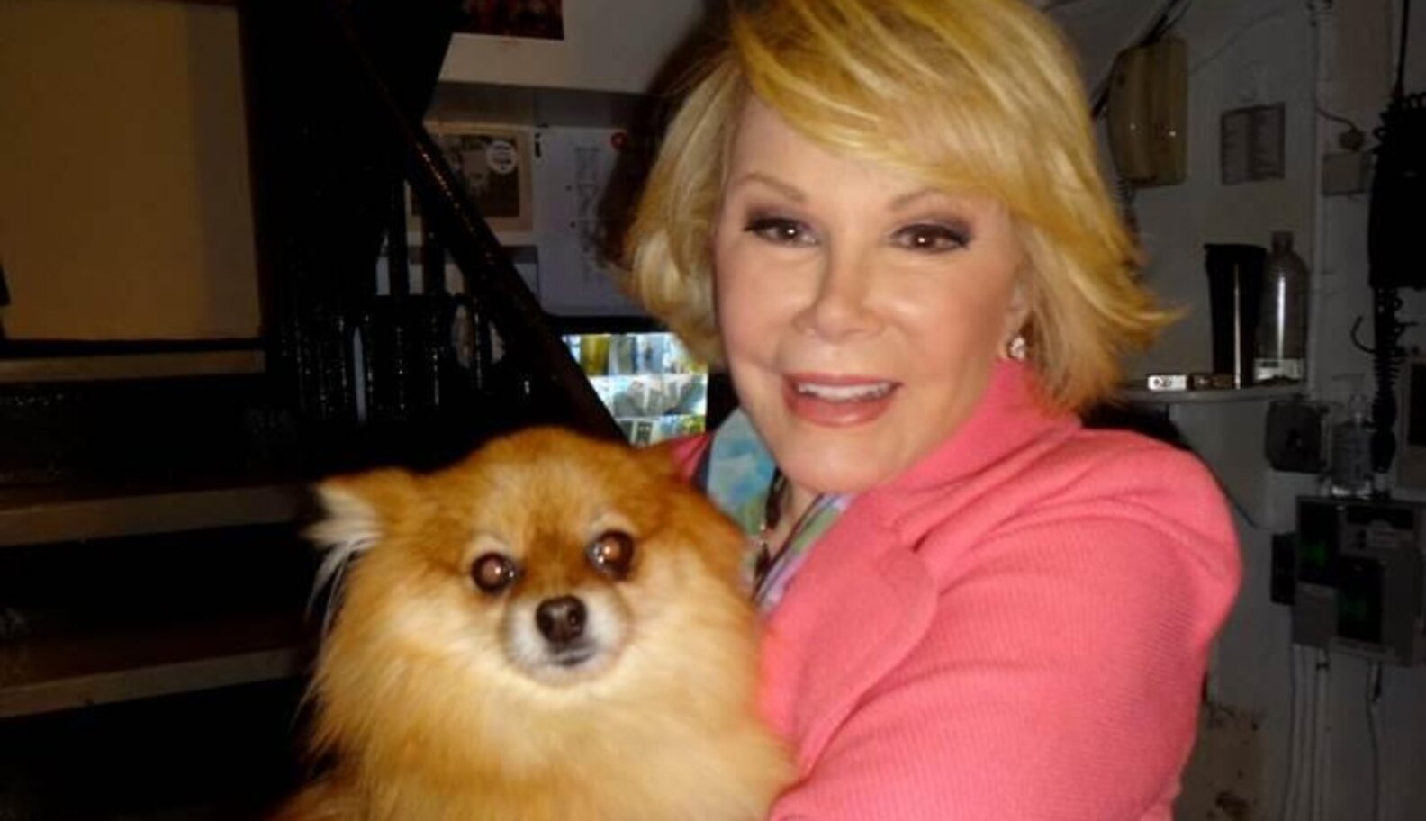 What Joan Rivers' Life Can Teach Us About The Power Of Pets The Dodo