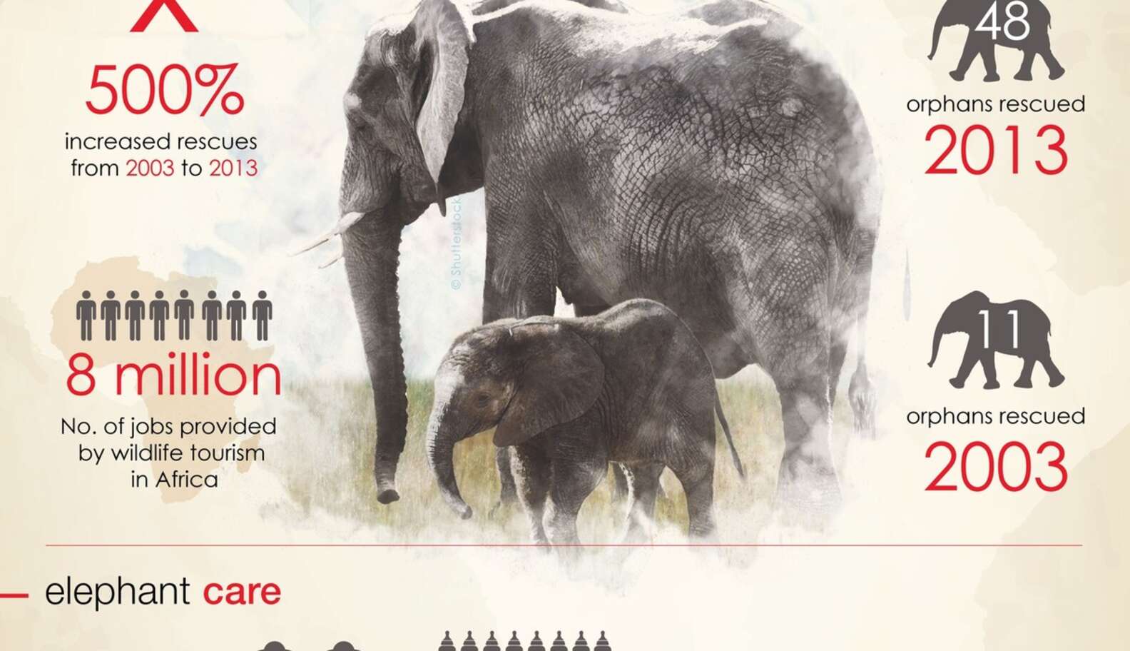 Africas Elephants By The Numbers The Dodo