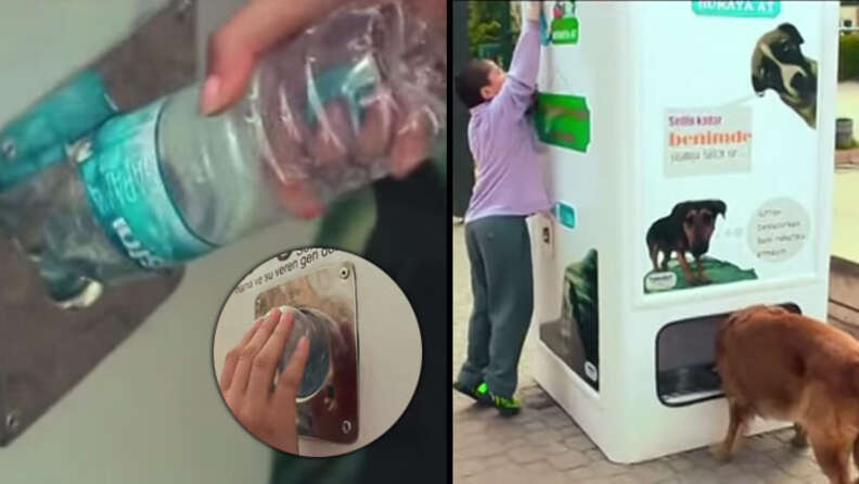 Boost Pet Business with Our Pet Vending Machine — Catering to Pets and  Profits, by Micron Smart Vending