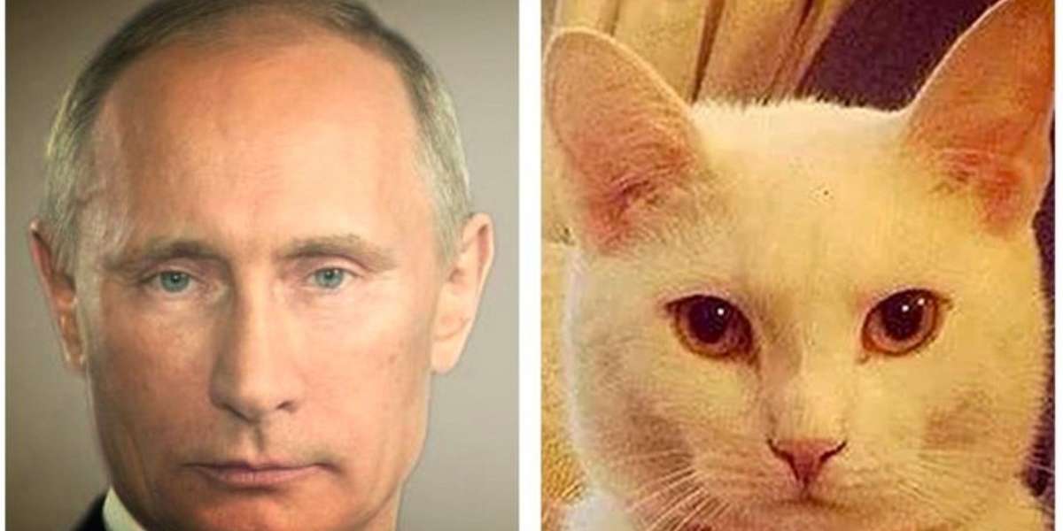 9 Animals Who Are Not Actually Vladimir Putin - The Dodo